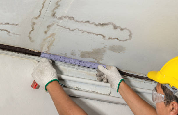 Reliable Water Damage contractor in Kaufman, TX by Water Damage Irwin